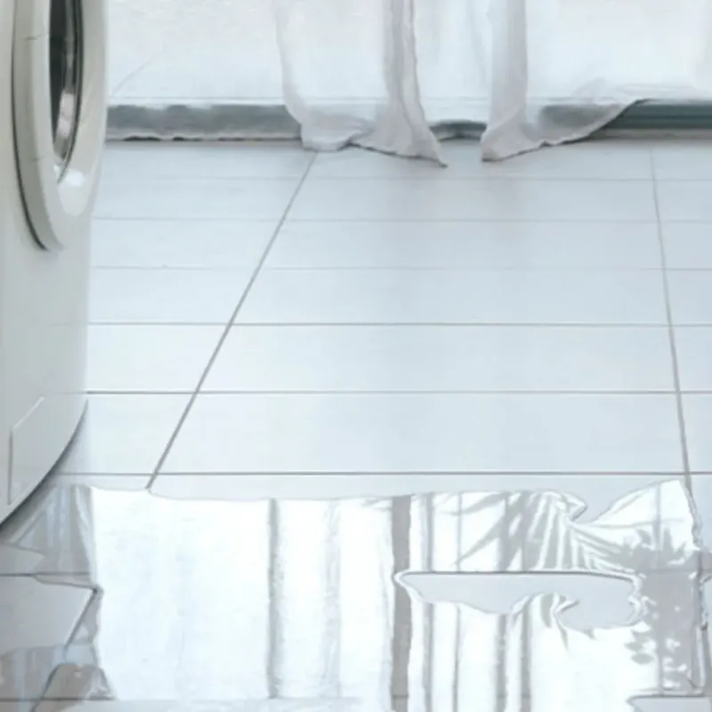 Appliance Leak Cleanup in Pflugerville, TX