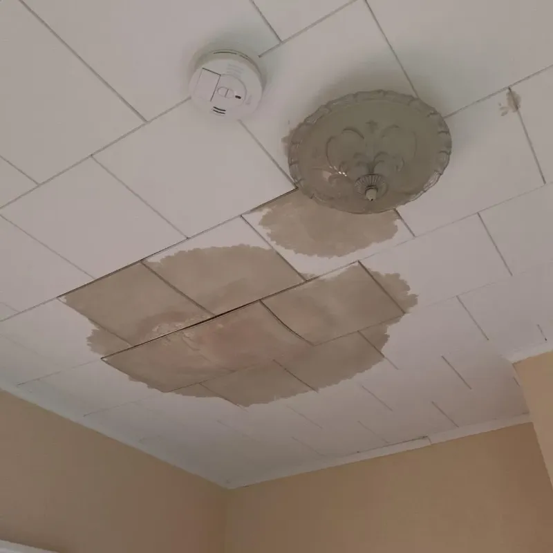 Ceiling Water Damage Repair in Pflugerville, TX
