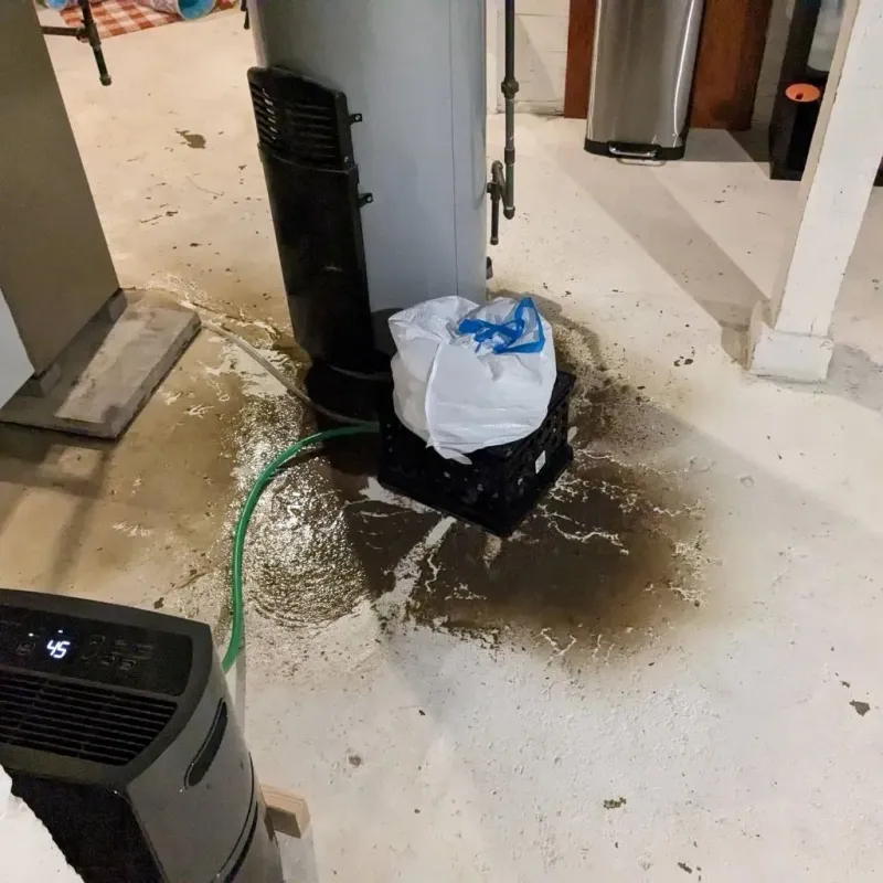 Sewage Backup Cleanup Service in Pflugerville, TX